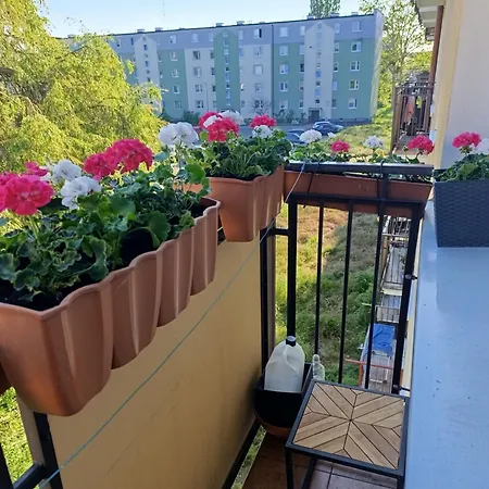Mieszkanie 40m2 Brzezno 300m Od Plazy * Gdansk