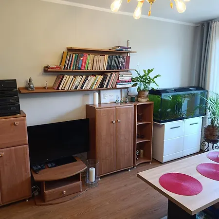 Mieszkanie 40m2 Brzezno 300m Od Plazy Apartment