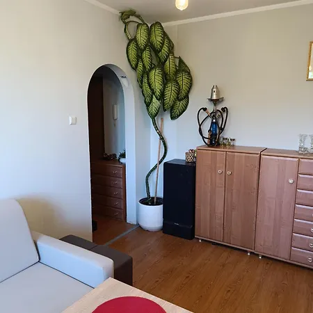 Mieszkanie 40m2 Brzezno 300m Od Plazy Apartment *